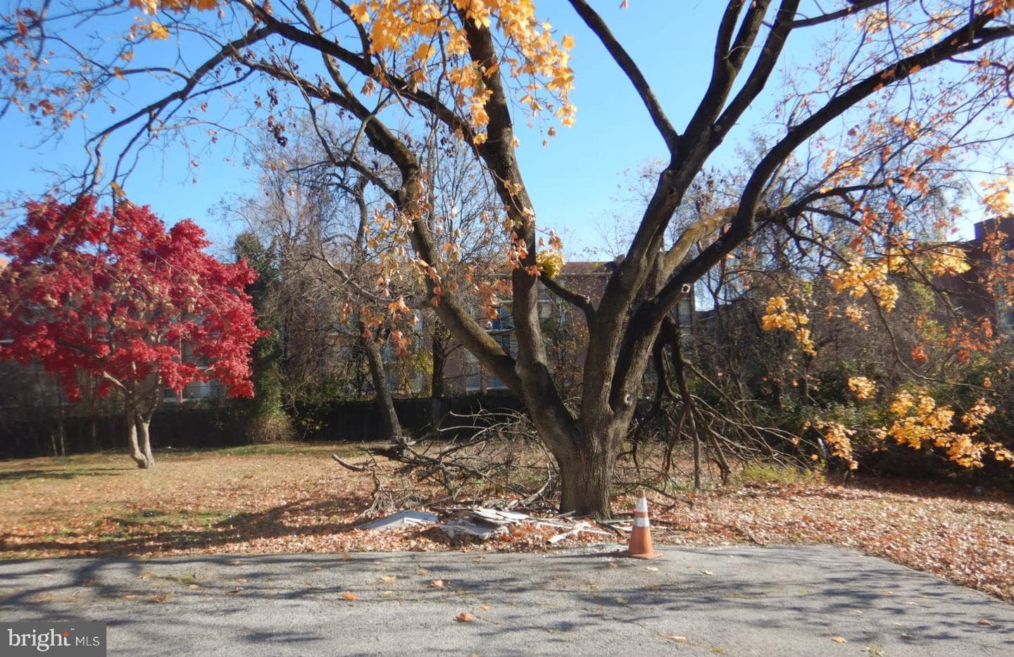 231 Brock Bridge Road photo 4