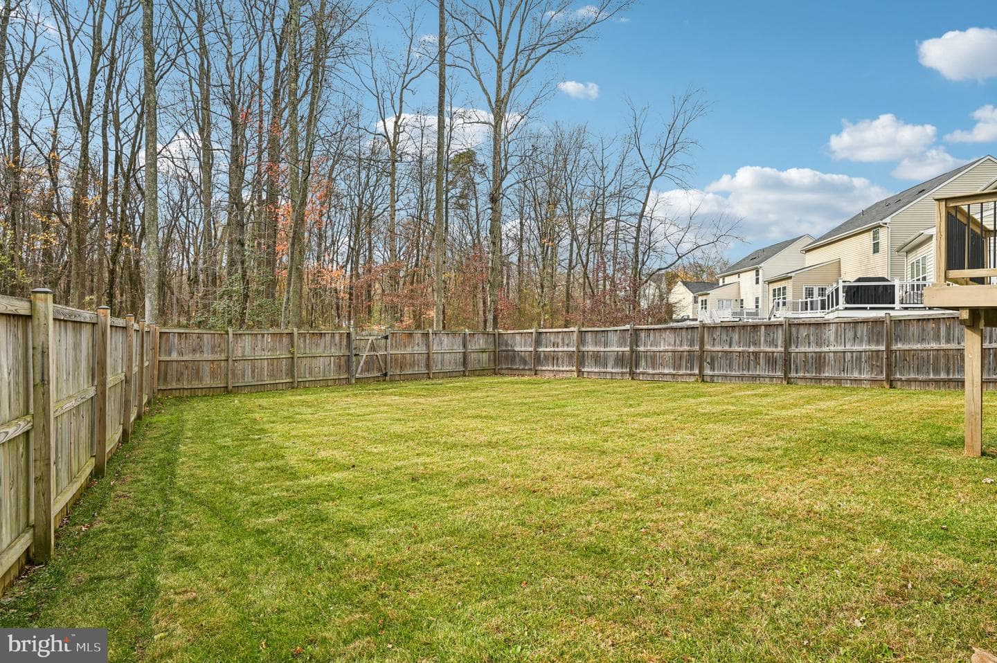 7811 Maple Run Court photo 50