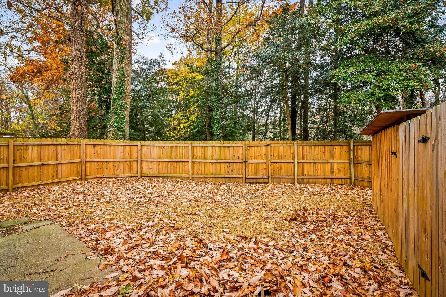1366 Almond Drive photo 30
