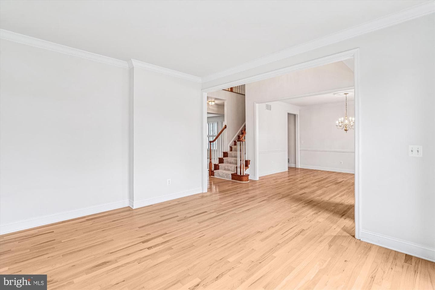 206 Heatherbloom Trail photo 10