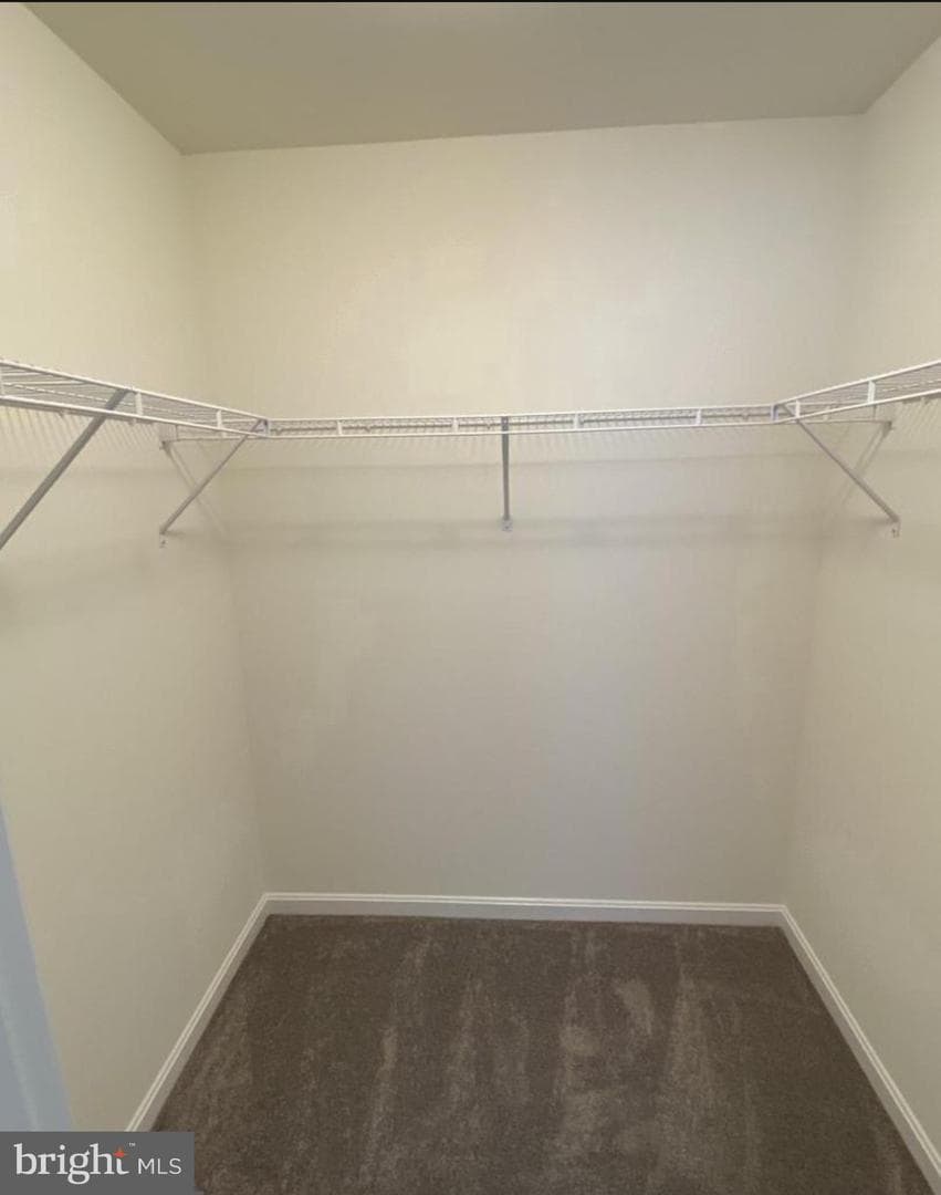 207 Jenkins Way photo 23