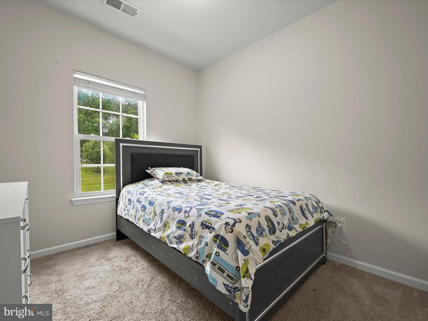 7266 Dorchester Woods Lane photo 33