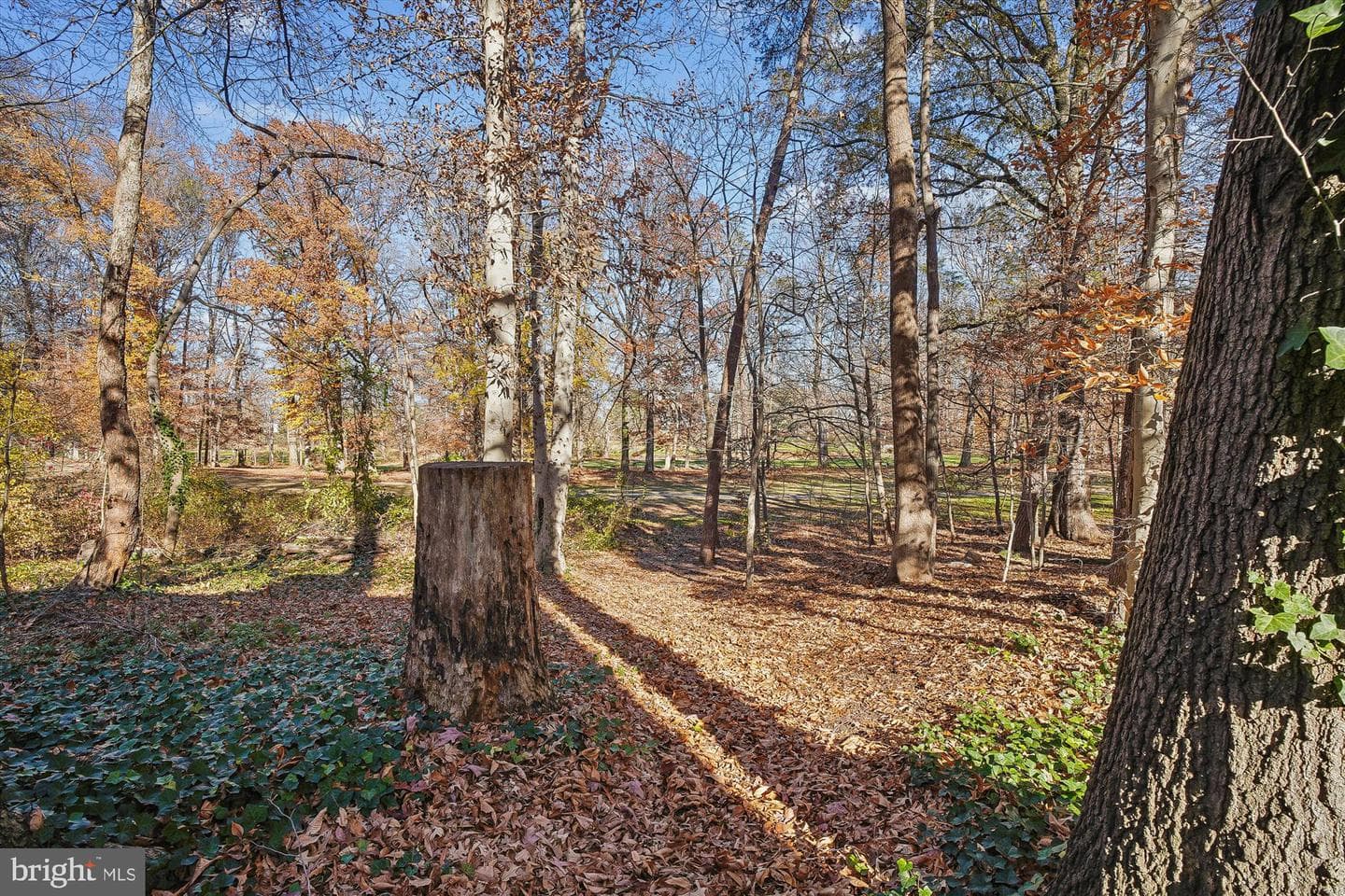 2542 Windy Oak Court photo 35