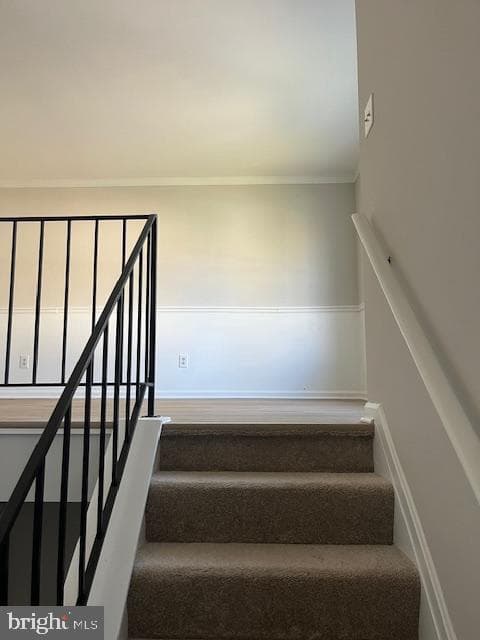 538 Elizabeth Lane photo 12