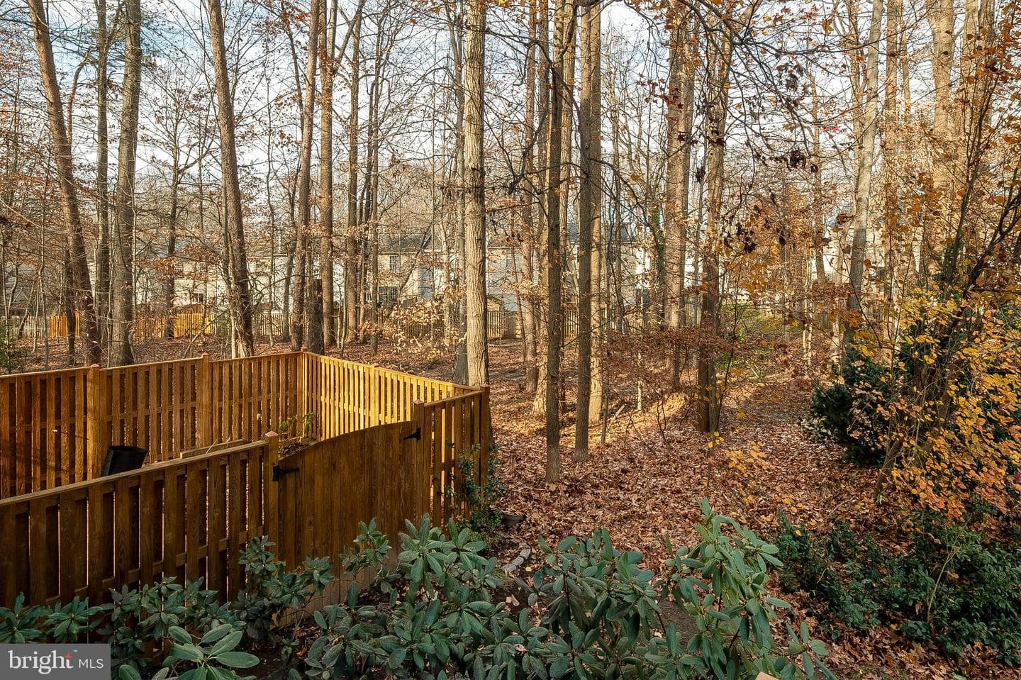 1816 Whites Ferry Place #6 photo 8