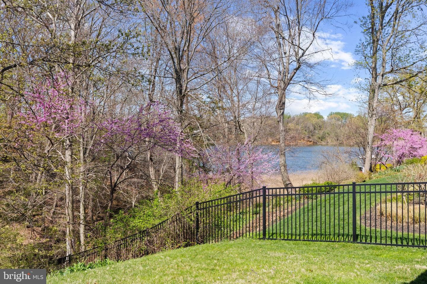 219 Wardour Drive photo 21