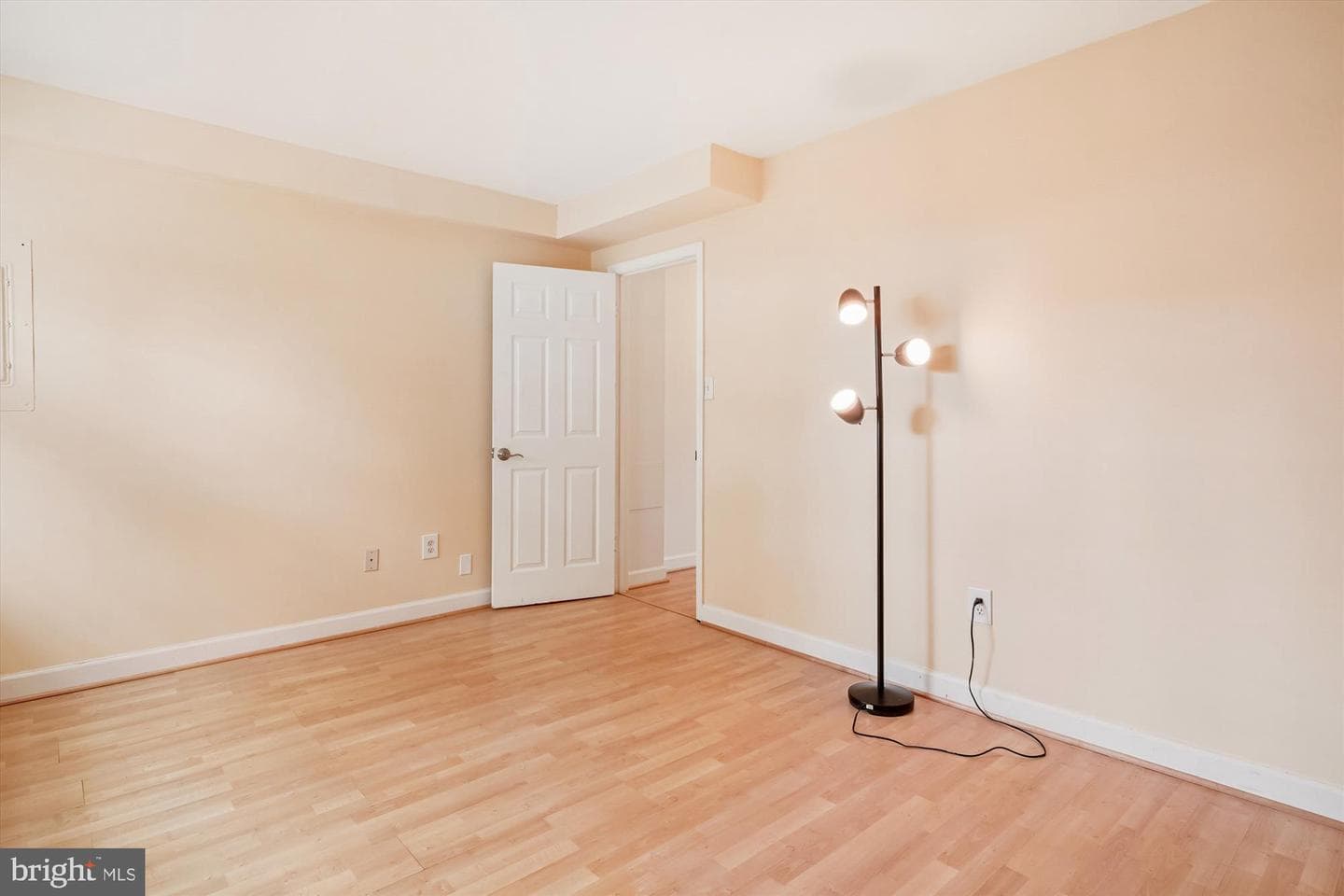 1677 Hart Court photo 22