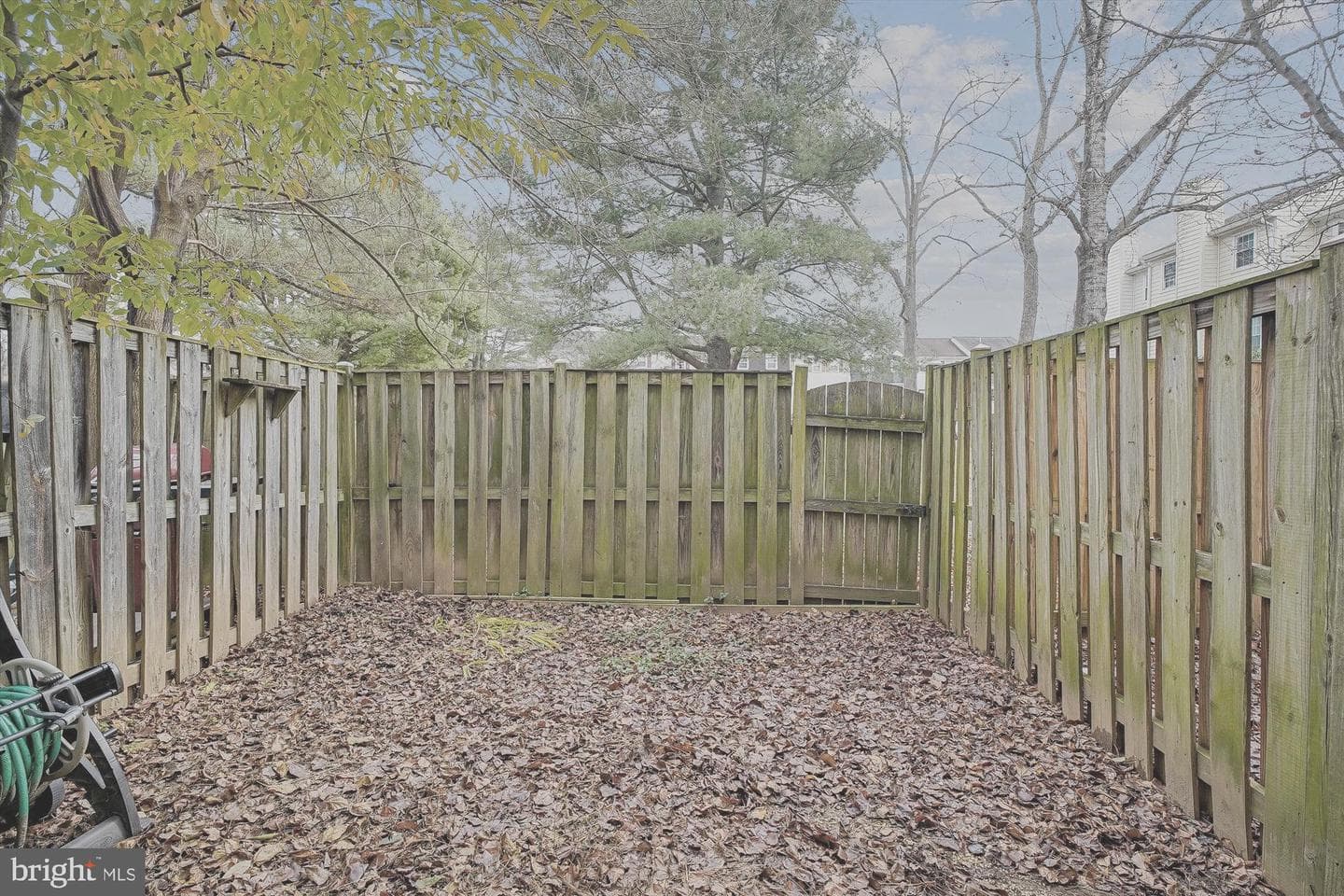 1677 Hart Court photo 25