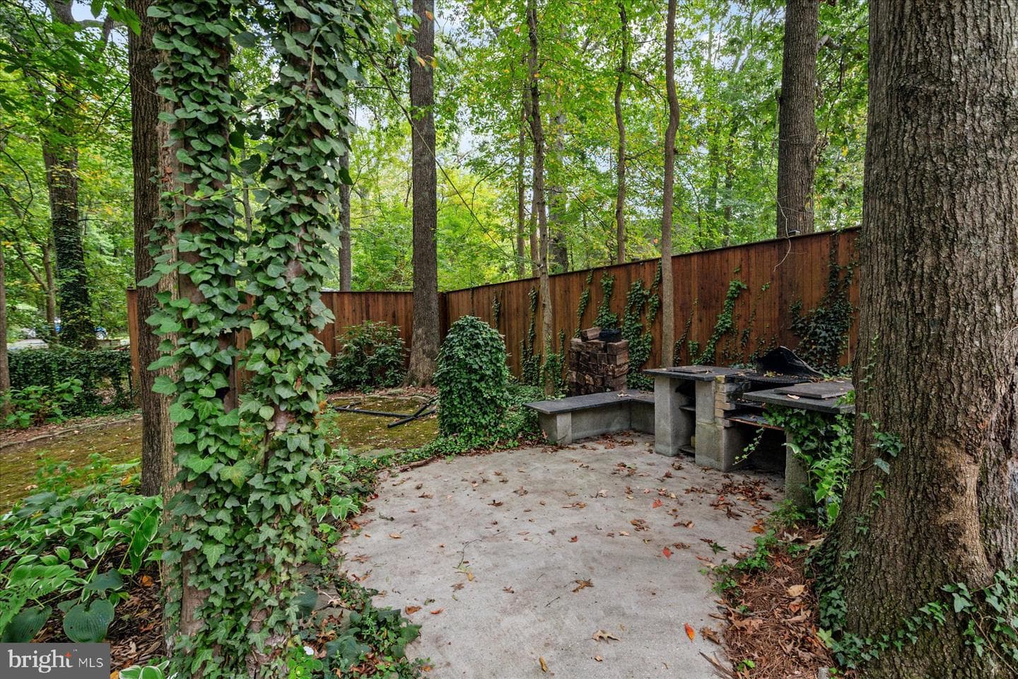 1037 Biltmore Avenue photo 32
