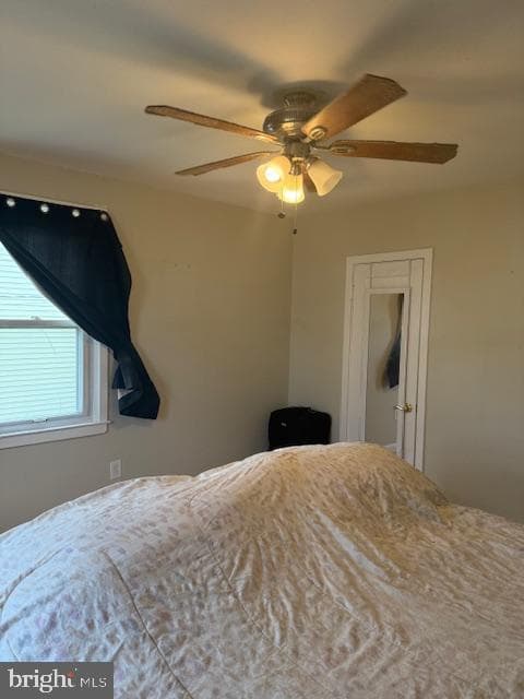221 Orchard Avenue photo 12