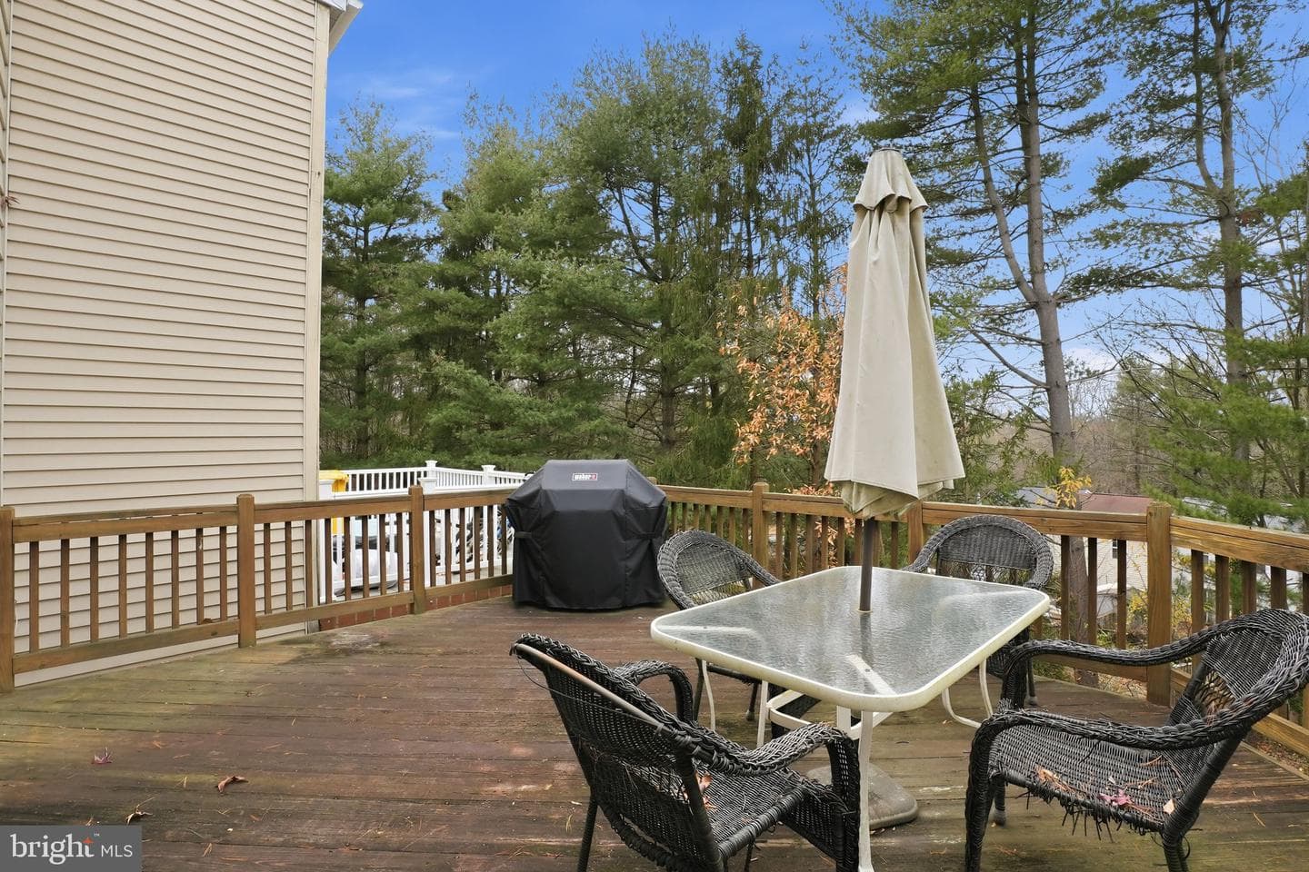 1194 Palmwood Court photo 31