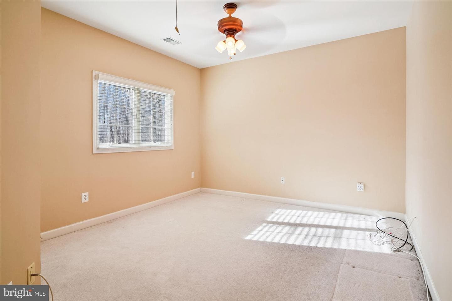 328 Colony Point Place photo 51