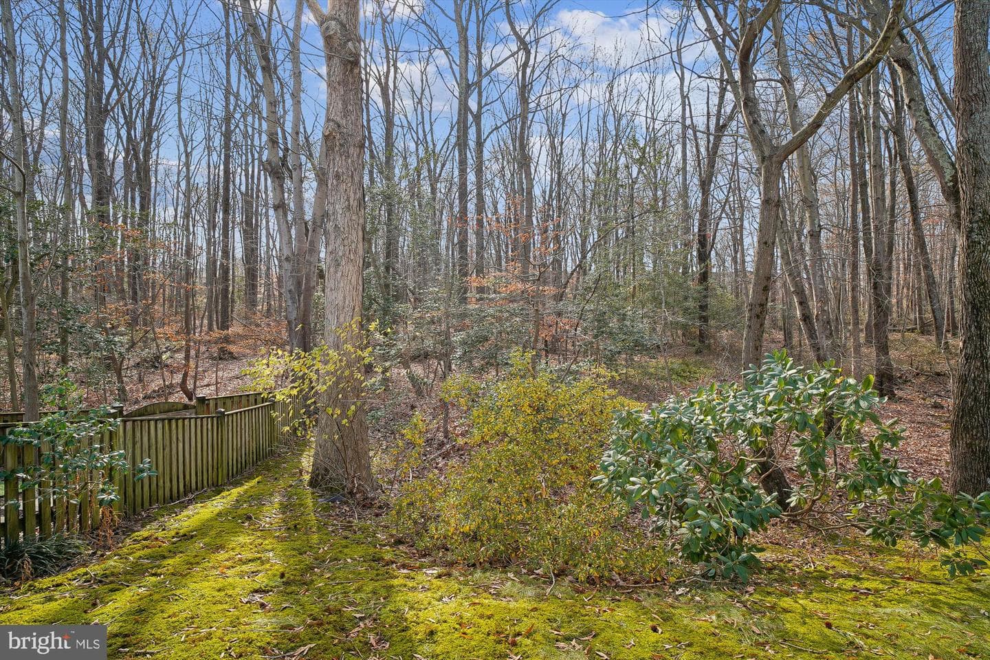 328 Colony Point Place photo 64