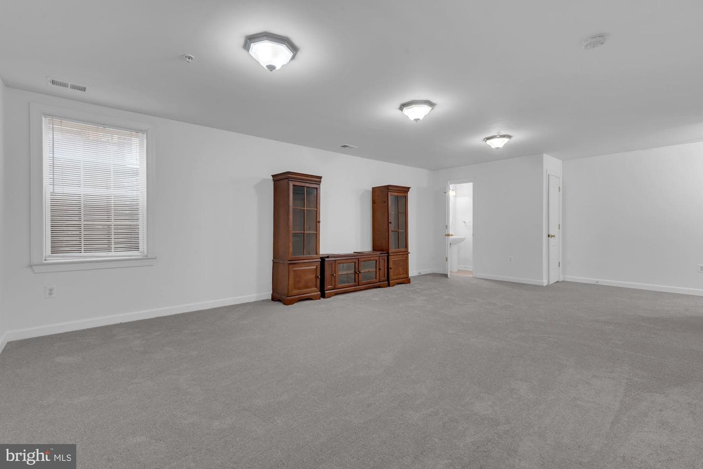 3510 Carriage Walk Lane #29-C photo 30