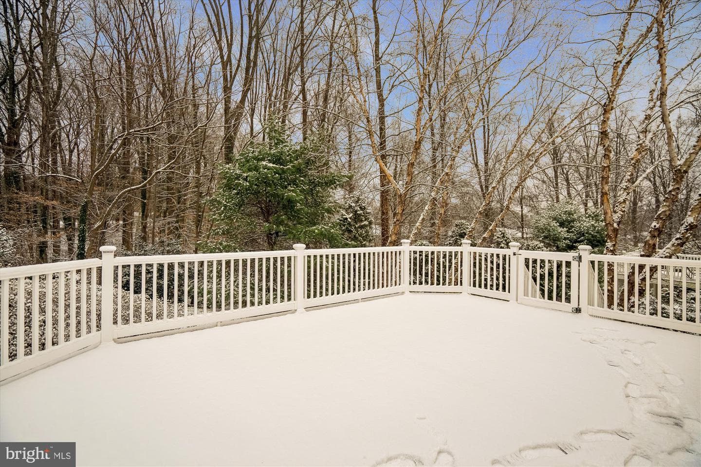 309 Grindstone Drive photo 36