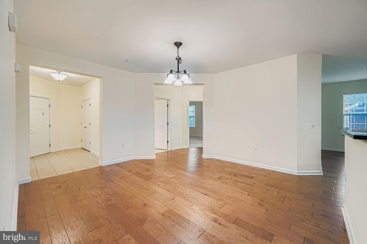 1412 Wigeon Way #101 photo 6