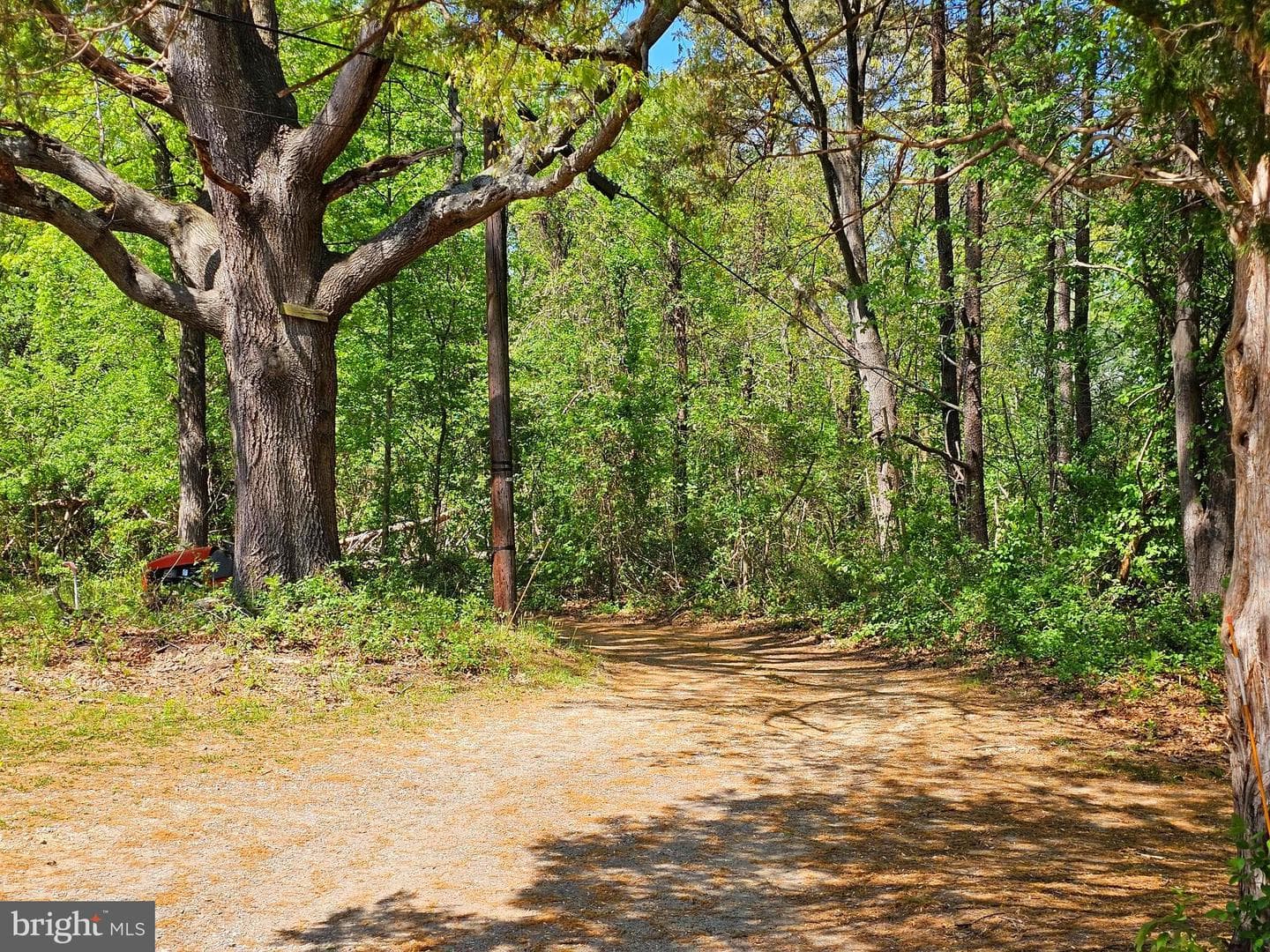 836 Generals Highway photo 10