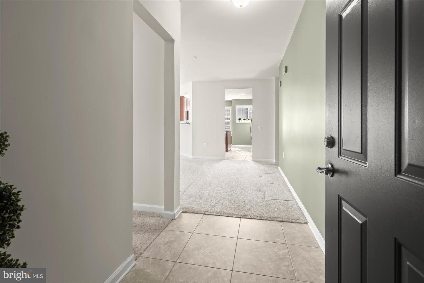 1406 Wigeon Way #205 photo 9