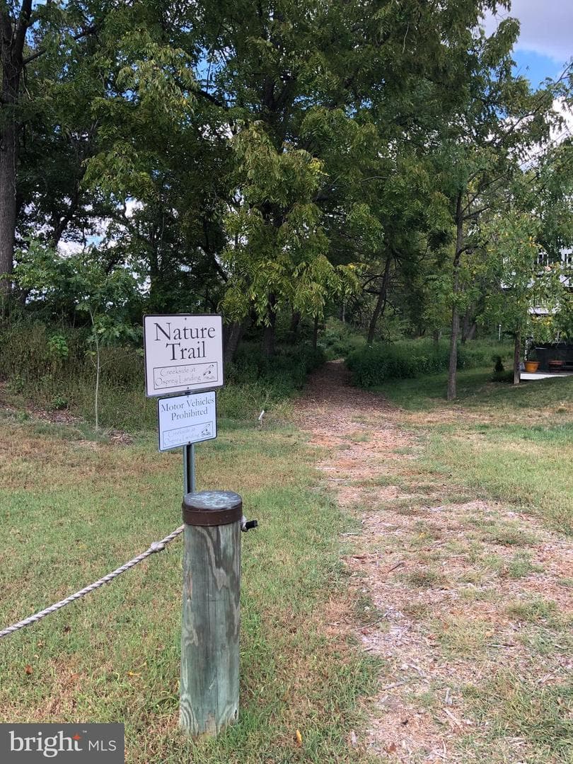 7419 Osprey Landing Drive photo 61