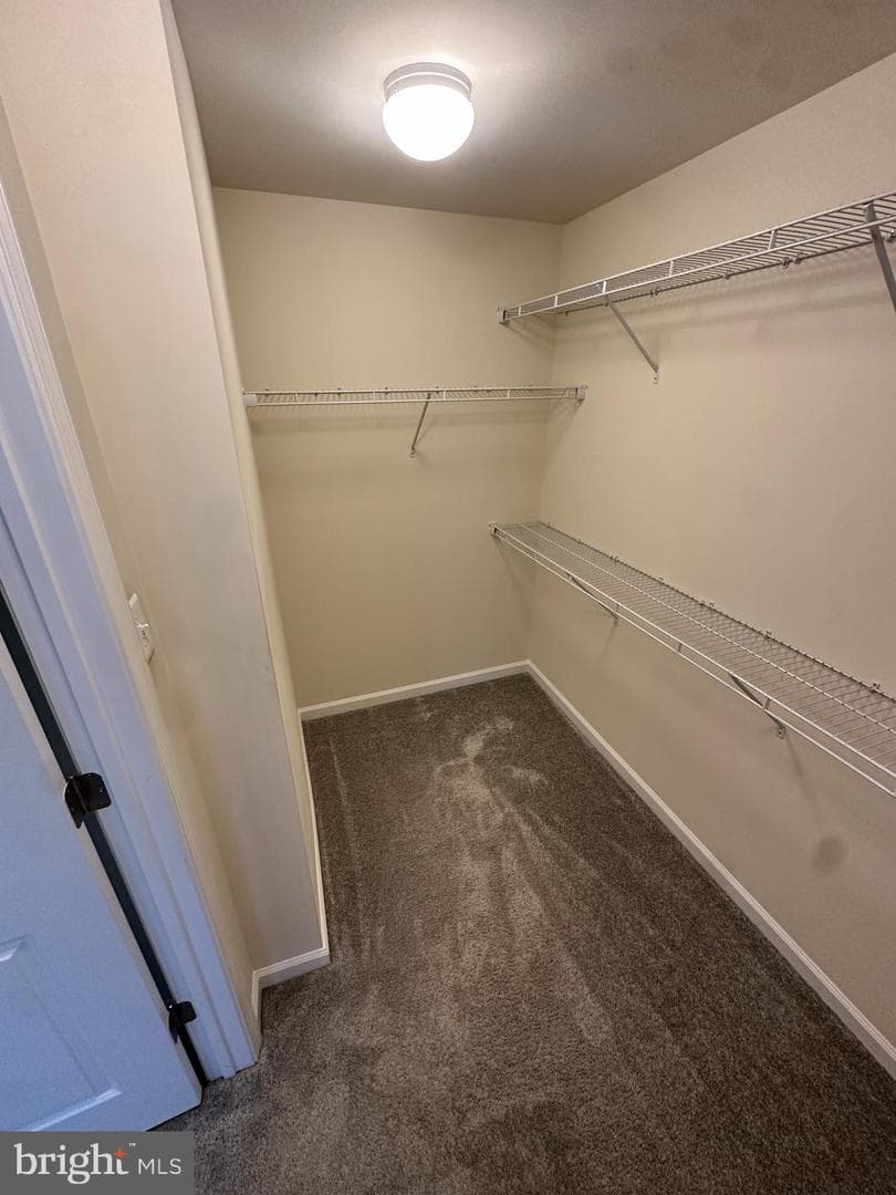 7206 Hartley Lane photo 27