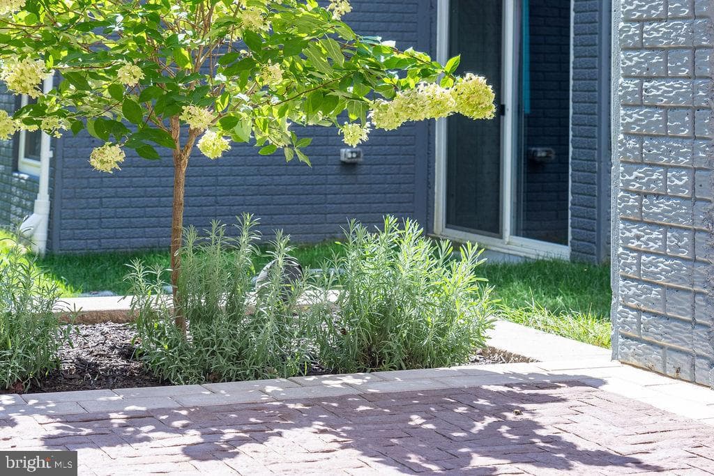 143 Stilly Way photo 49