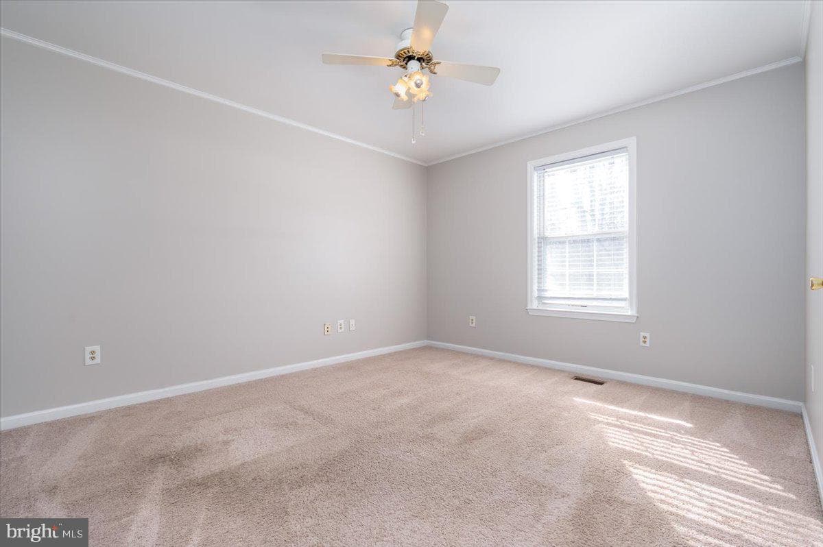 3587 Loch Haven Drive photo 20