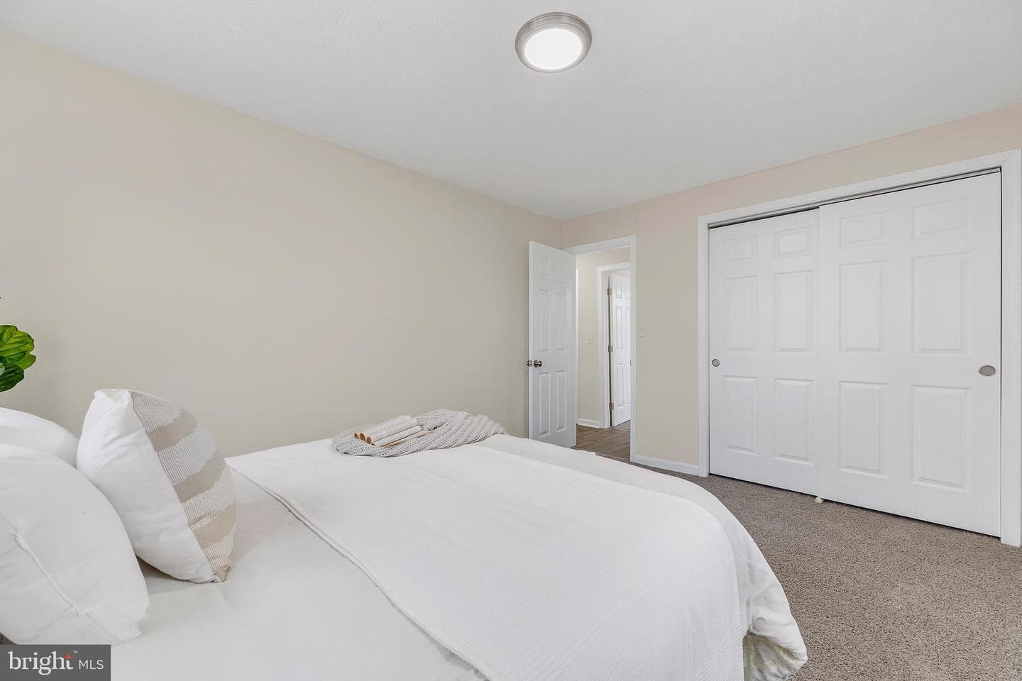 723 Cotter Road photo 20