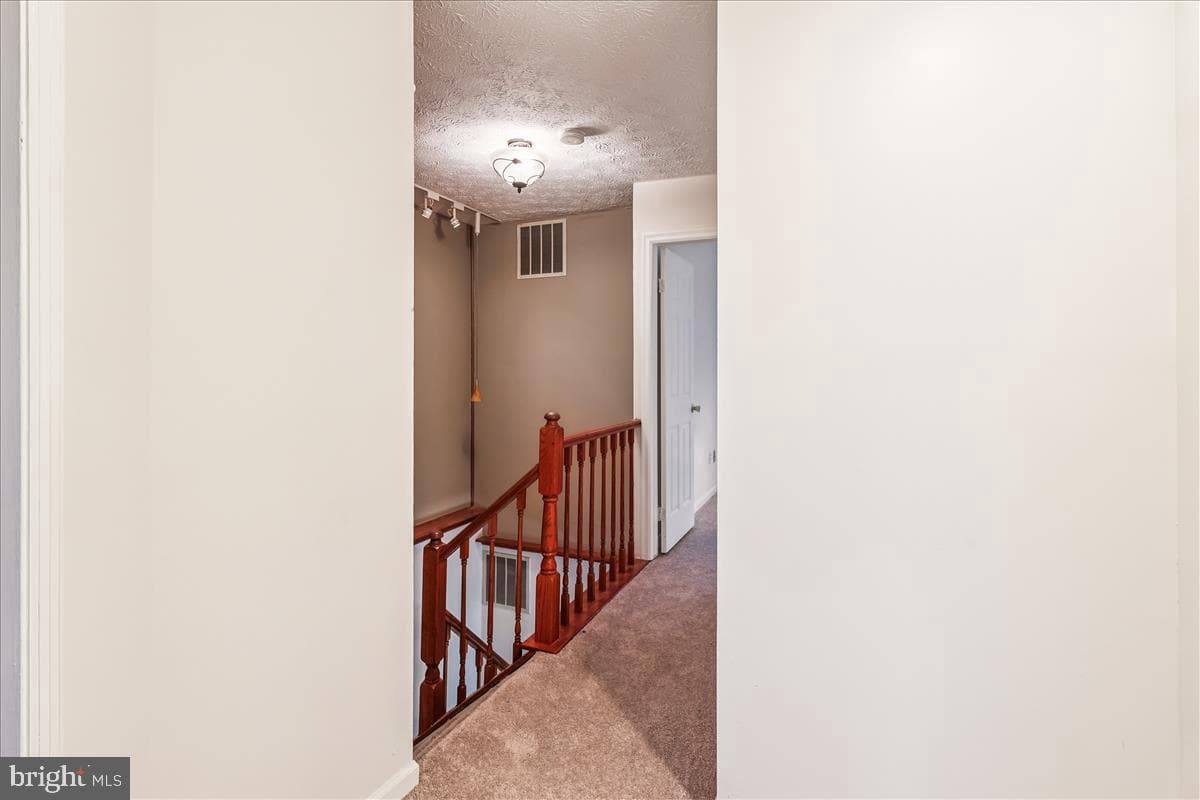 1016 Chestnut Haven Court photo 32