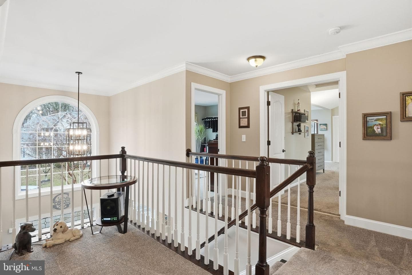 718 Penny Court photo 9
