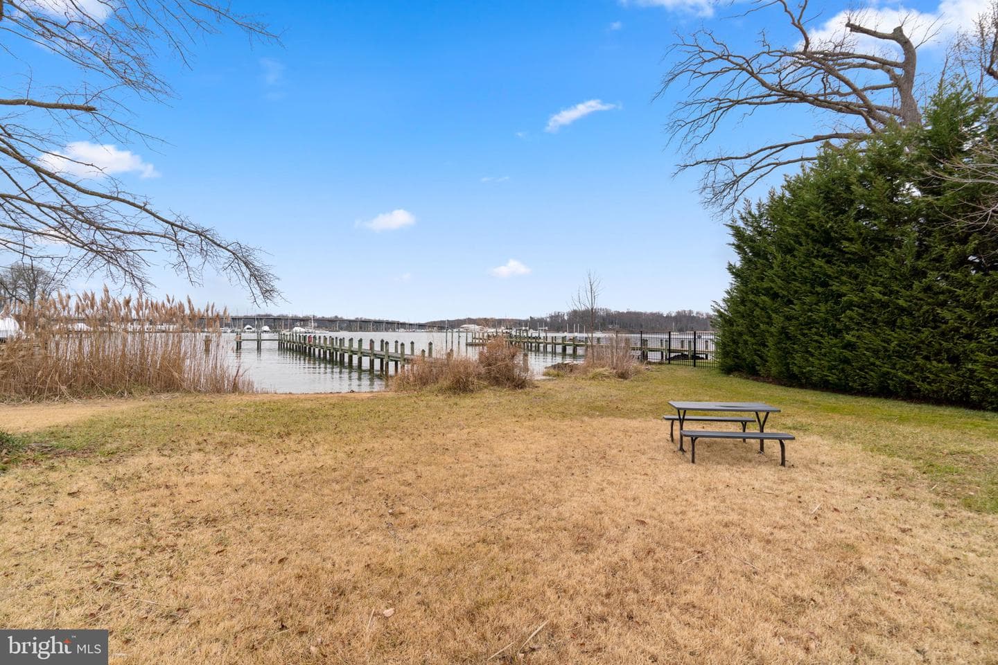 226 Maryland Way photo 24
