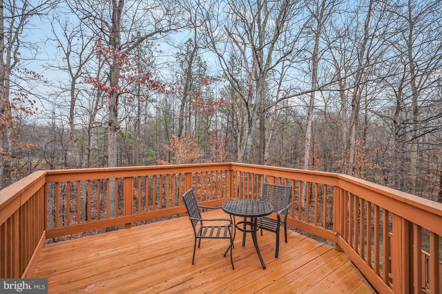 3404 Londonleaf Lane photo 19