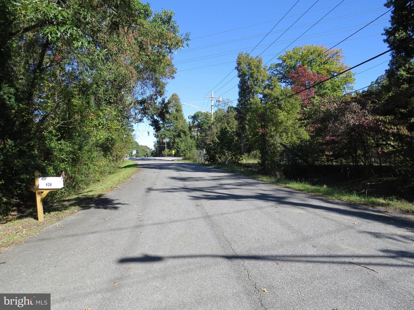 438 Burns Crossing Road photo 18