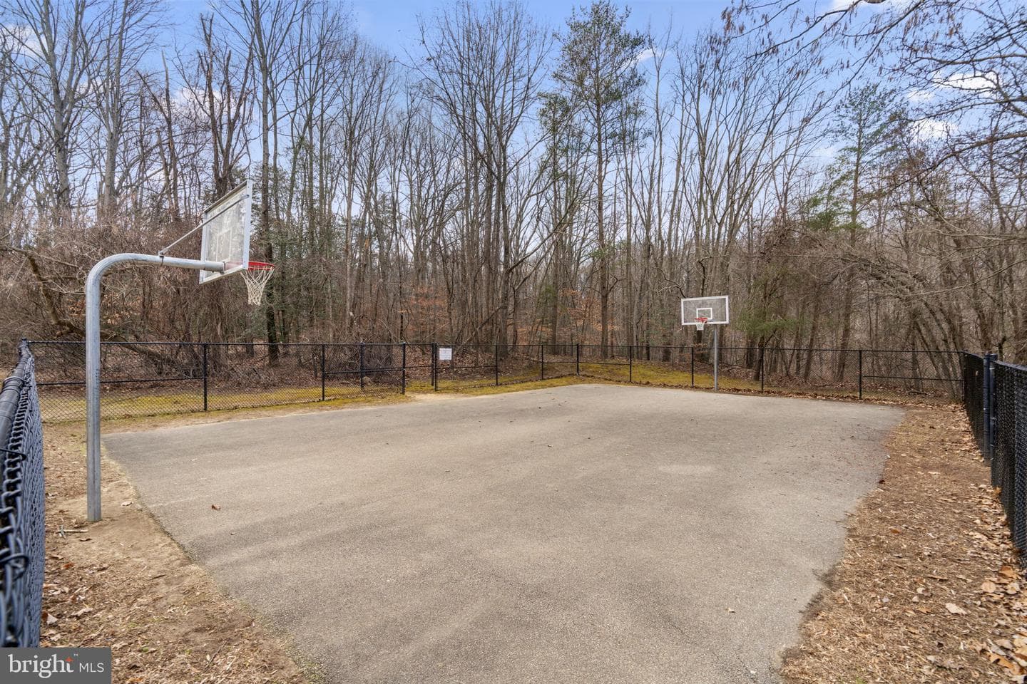 539 Greenblades Court photo 43