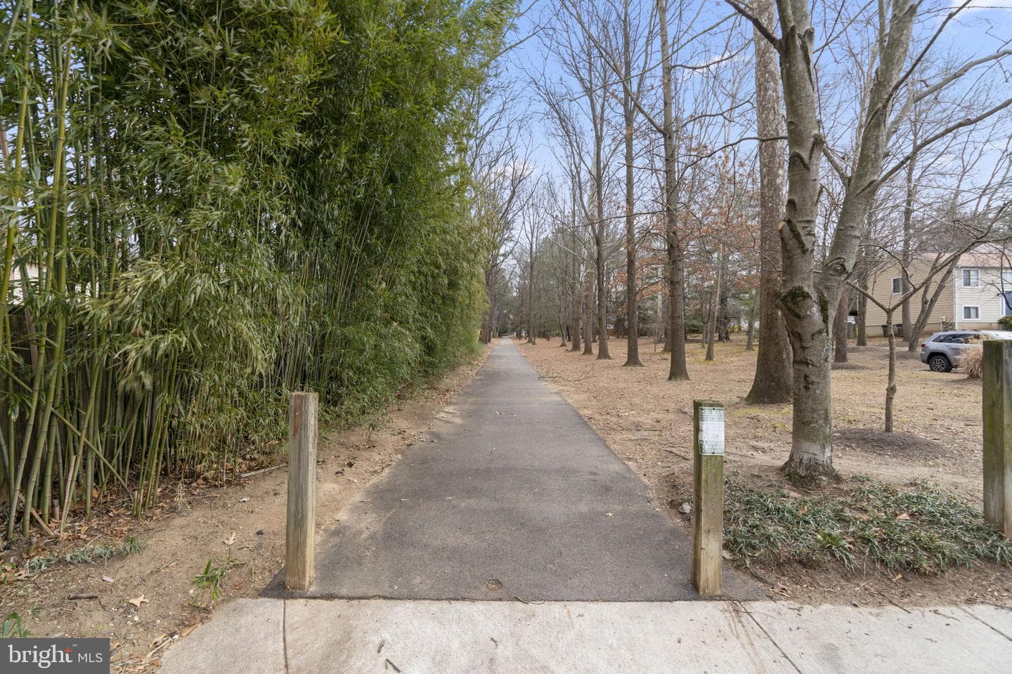 539 Greenblades Court photo 44