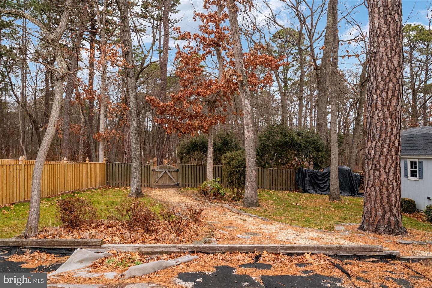 8116 Quarterfield Farms Drive photo 59