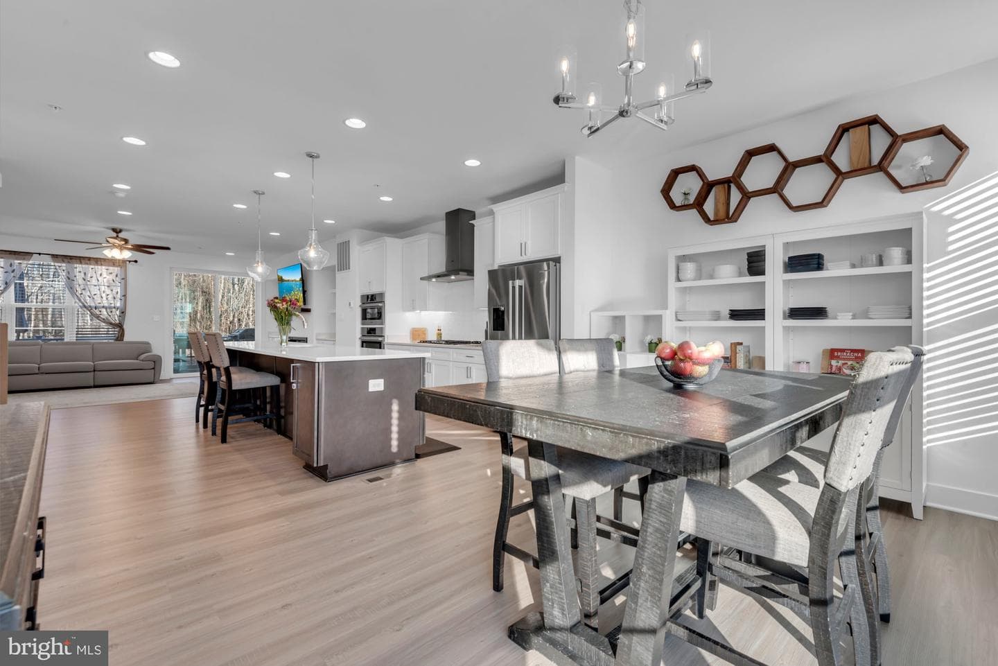 288 Alluvium Dr photo 12