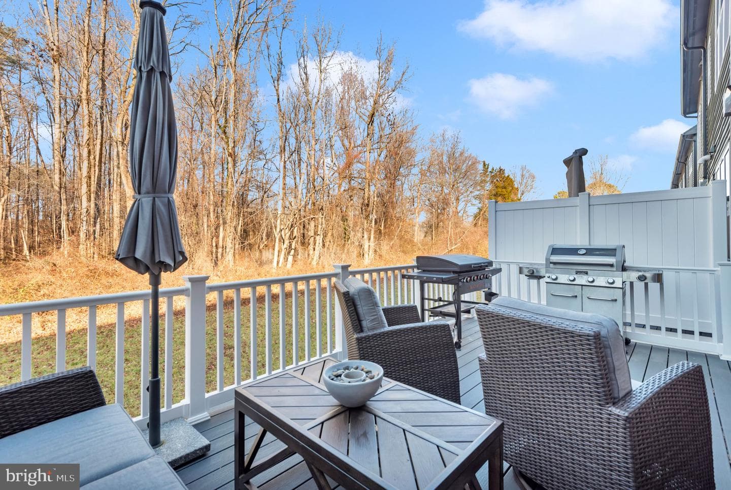 288 Alluvium Dr photo 47