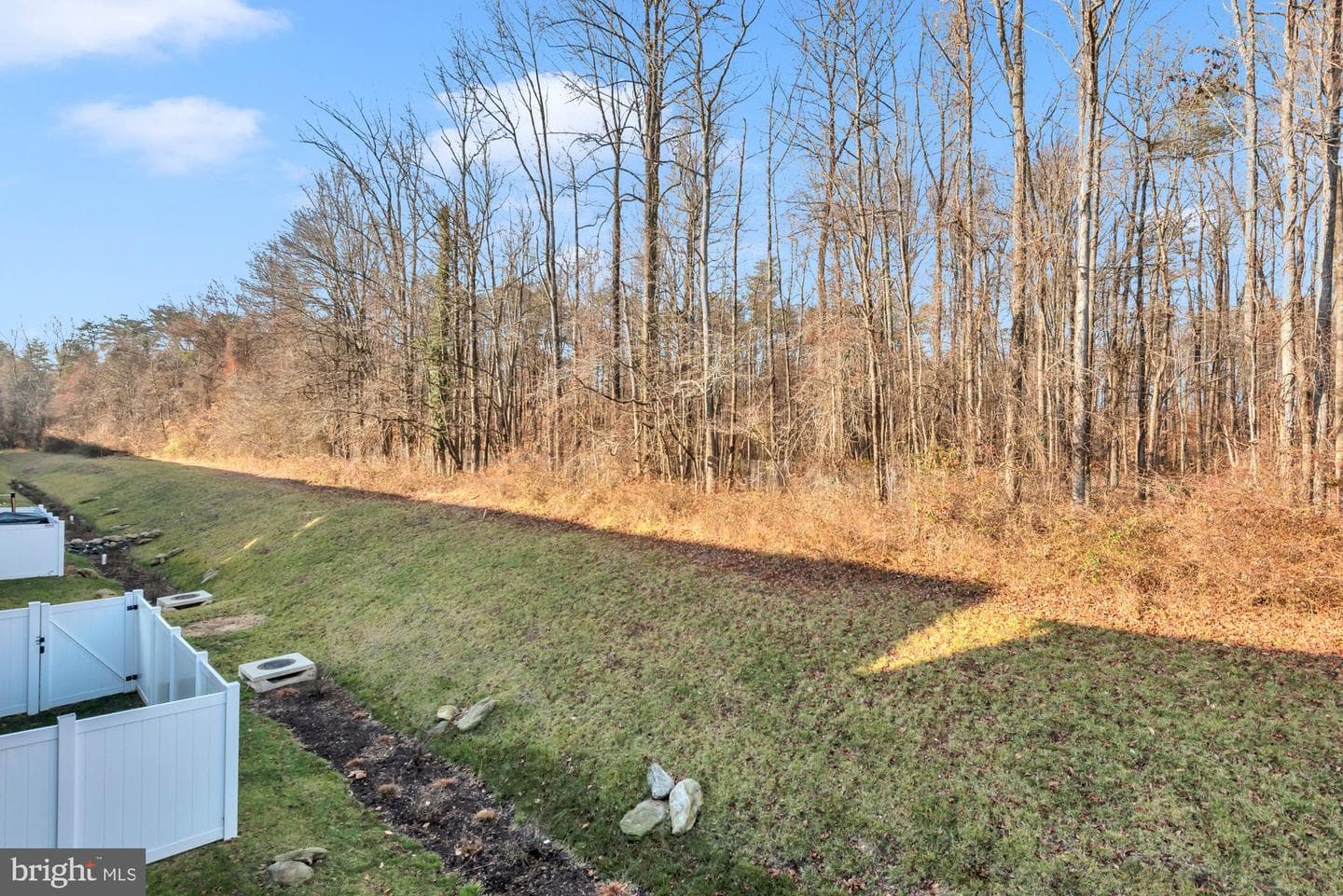 288 Alluvium Dr photo 49