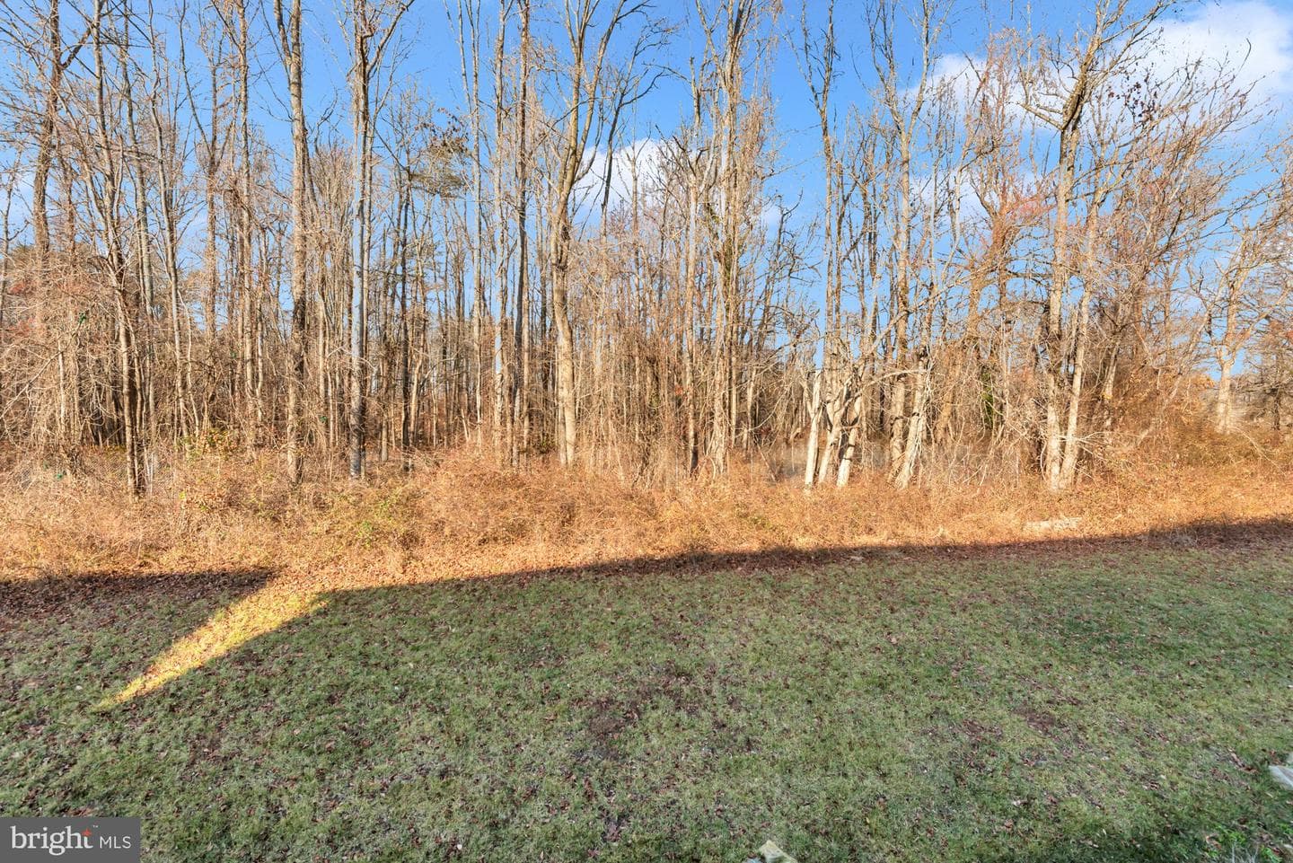 288 Alluvium Dr photo 50