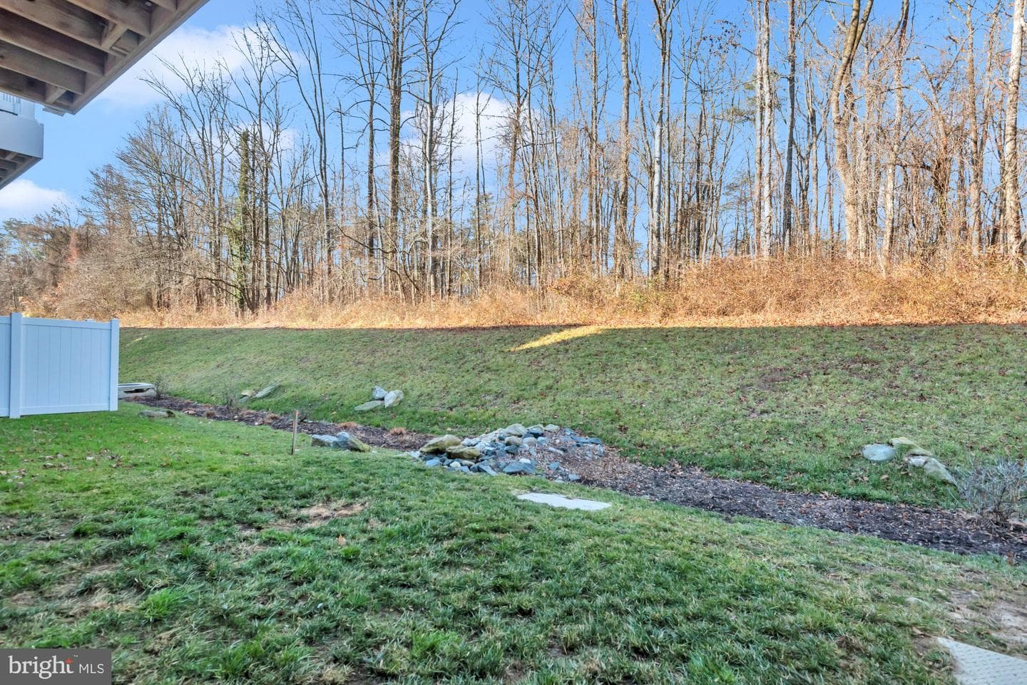 288 Alluvium Dr photo 51