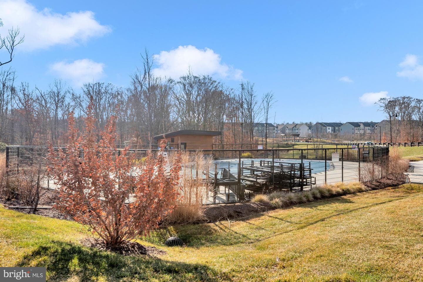 288 Alluvium Dr photo 67