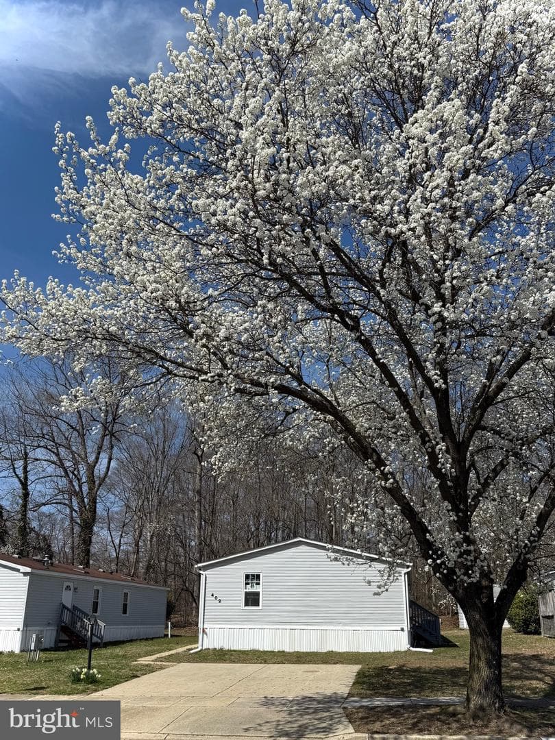 402 Boones Drive