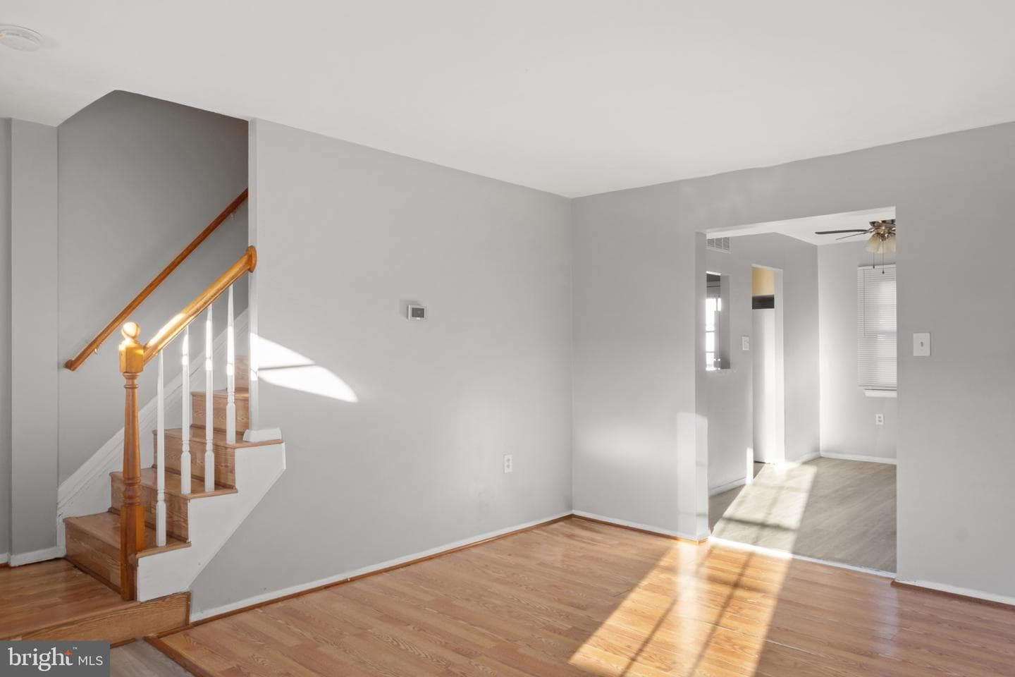 8216 Tomlinson Court photo 3