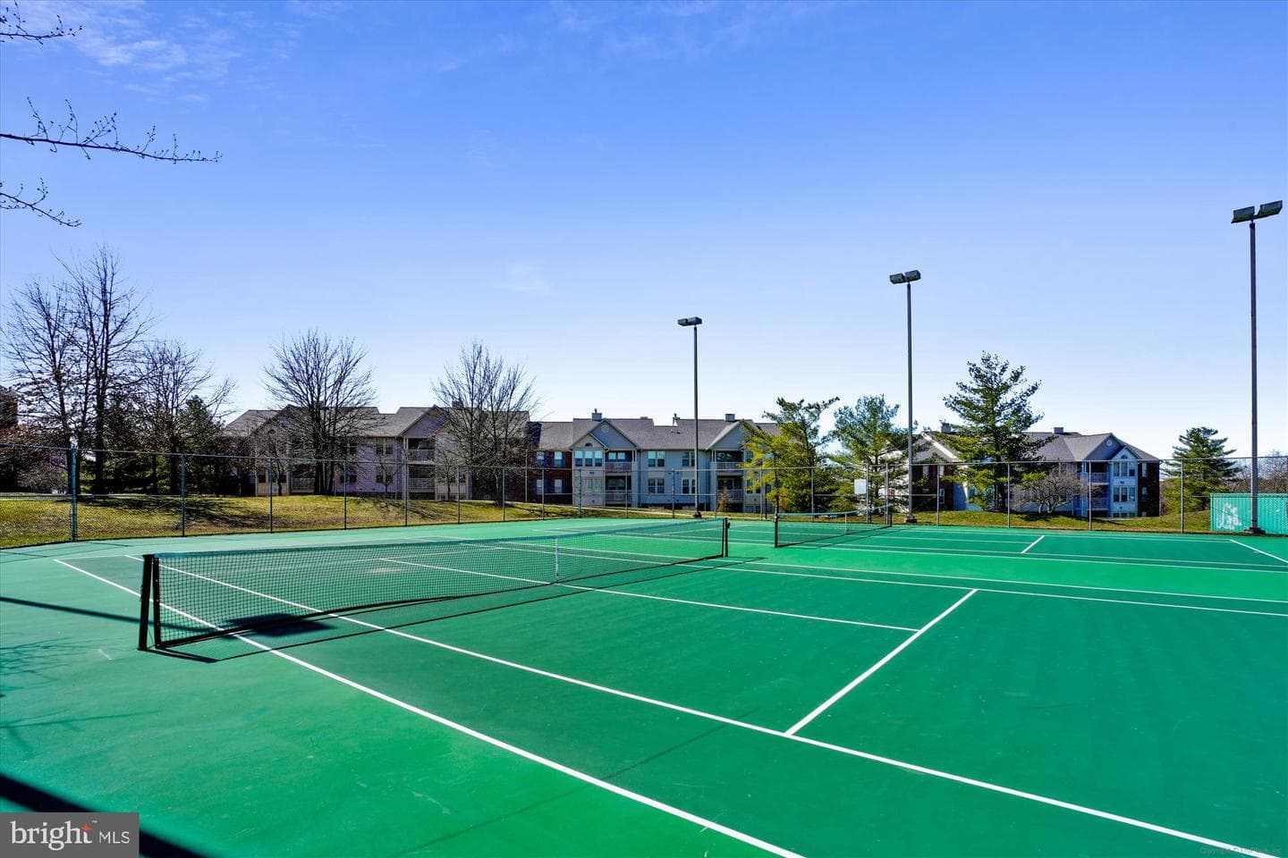 8601 Roaming Ridge Way #304 photo 60