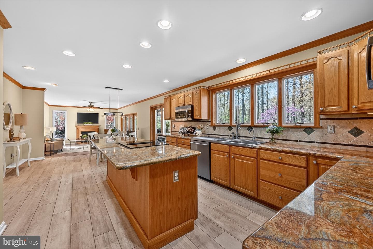 3509 Marthas Vineyard Way photo 61
