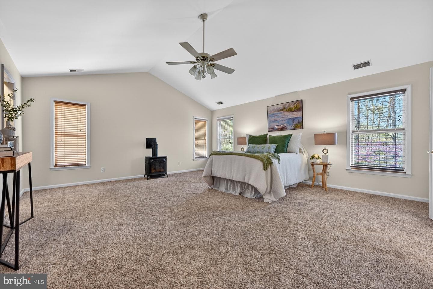 3509 Marthas Vineyard Way photo 73