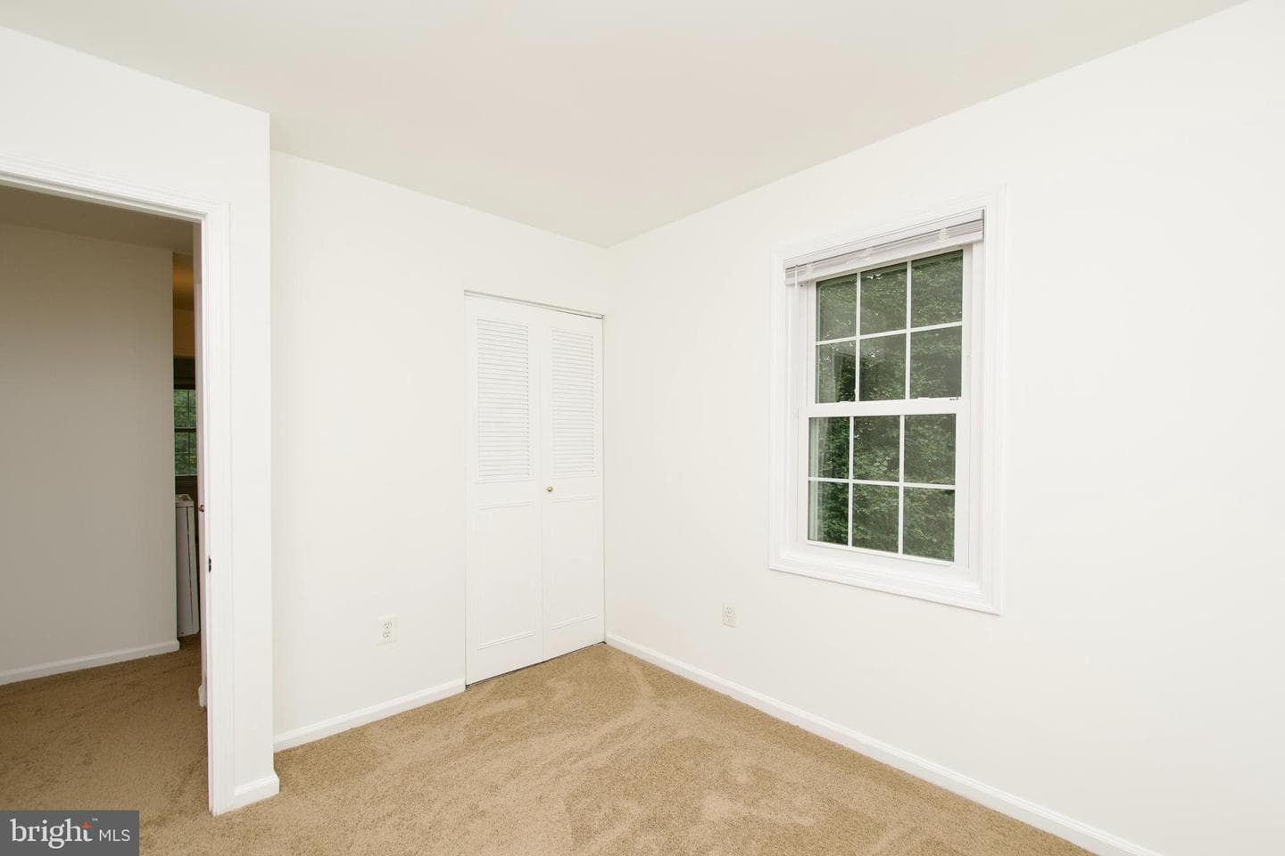 1448 Orleans Court photo 19
