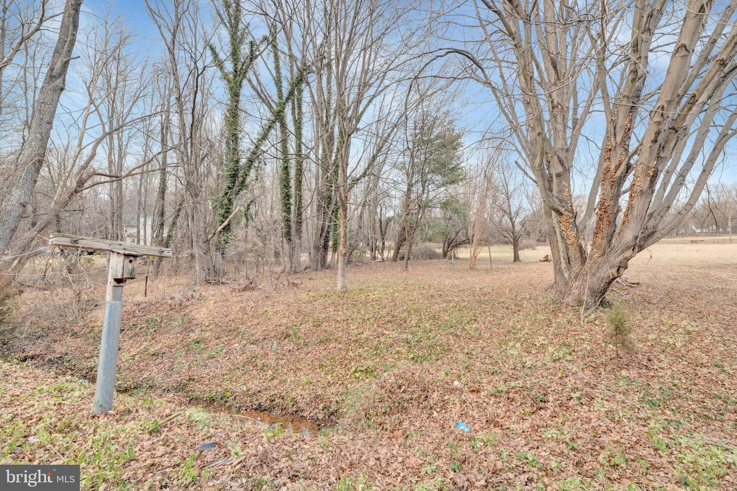 536 Mayo Road photo 33