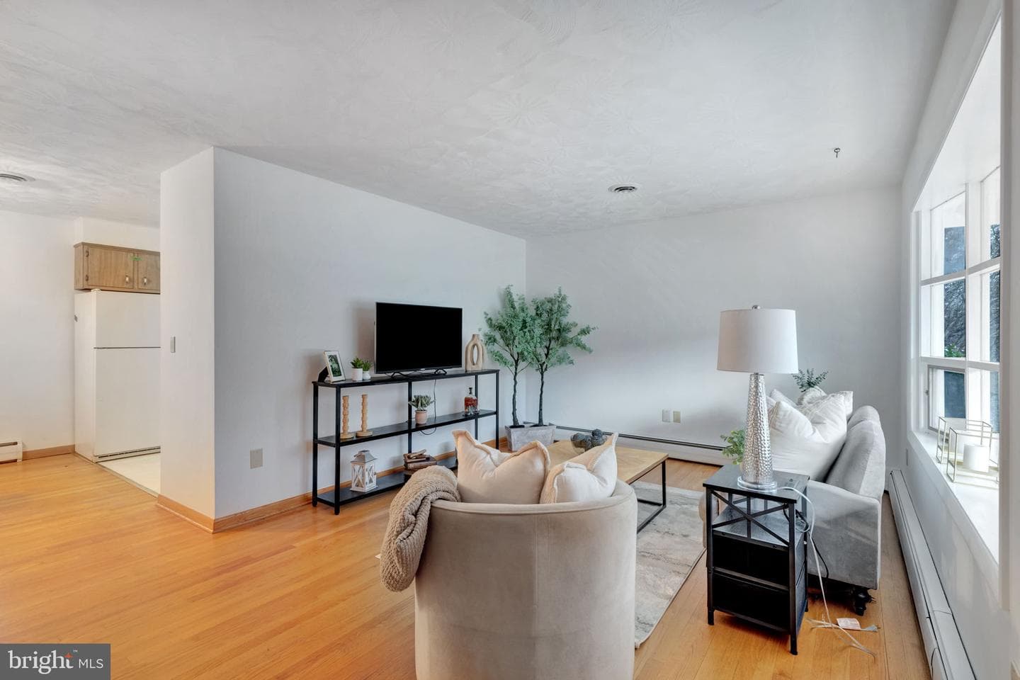 536 Mayo Road photo 6