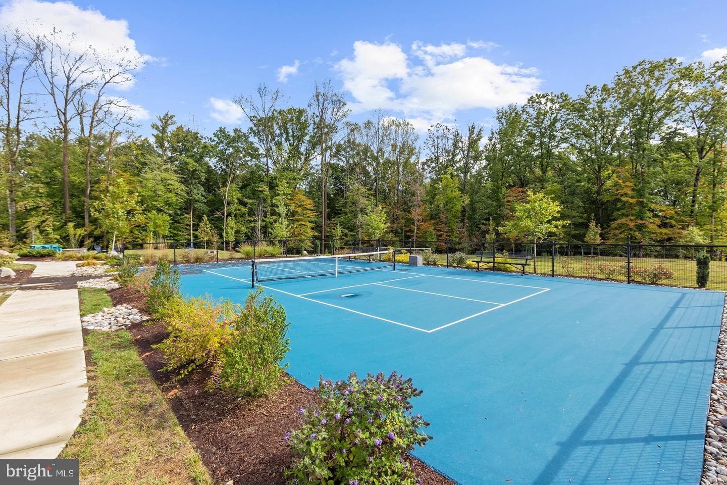219 Oakpine Drive photo 81